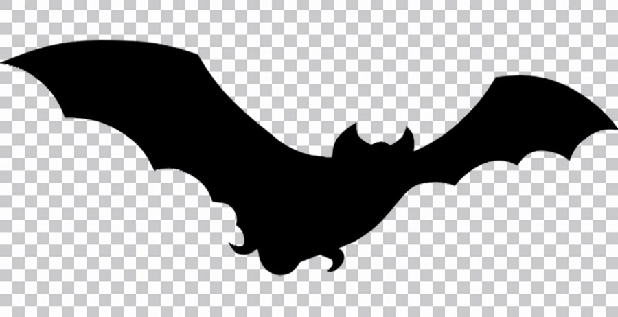 Murciélago Negro Clipart Transparente Png Imágenes Descargar Gratis